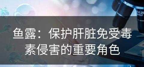 鱼露：保护肝脏免受毒素侵害的重要角色